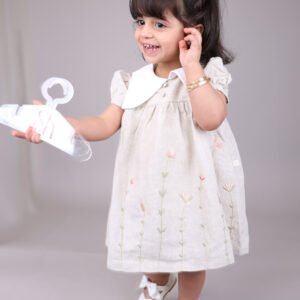 Elegant  Eid Dress 1